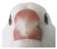 845703161