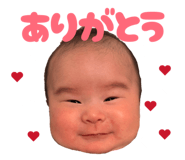 845703994