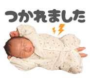 845704003