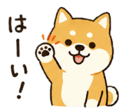 845704321