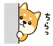845704328