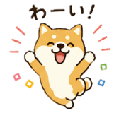 845704330