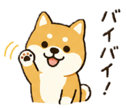 845704336