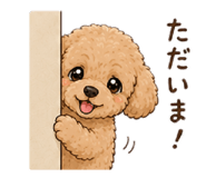 845704500