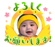 845704638