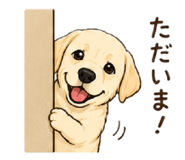 845704691