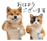 845704953