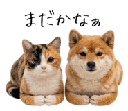 845704965