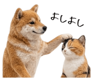 845704975
