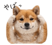 845704985