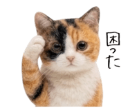 845704986