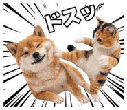 845704990