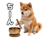 845704991