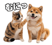 845704992