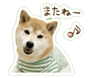 845705030