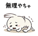 845705067