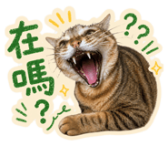 845706251