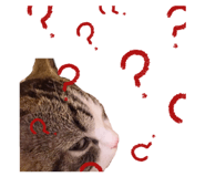 845706553