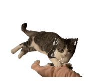 845706564