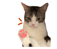 845706565
