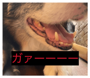845711216