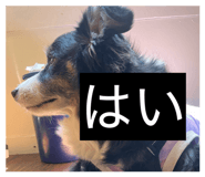 845711218