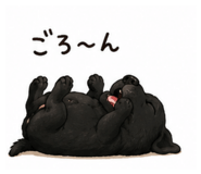 845712550