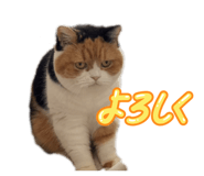 845712790