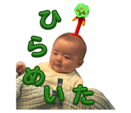 845712798