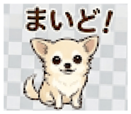 845713362