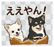 845713366
