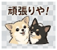 845713367