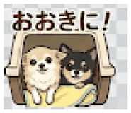 845713368