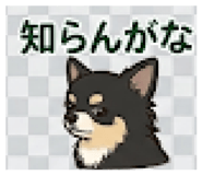 845713371