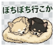 845713373