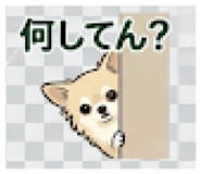 845713374