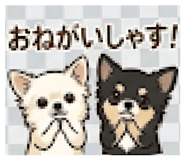 845713376