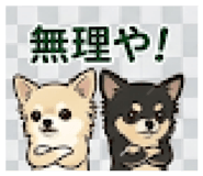 845713377