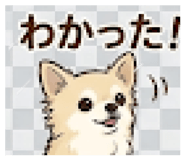 845713378