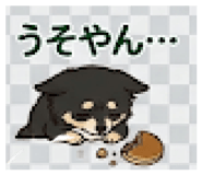 845713379