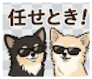 845713380