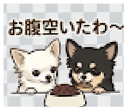 845713383