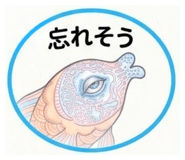 845713676