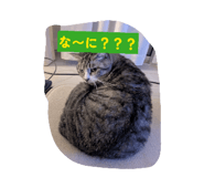 845714978