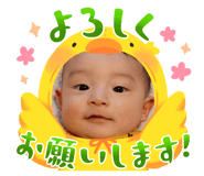 845715534