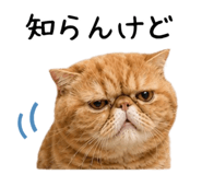 845715766