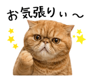 845715769