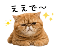 845715775