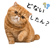 845715776