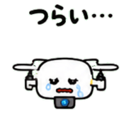845716706